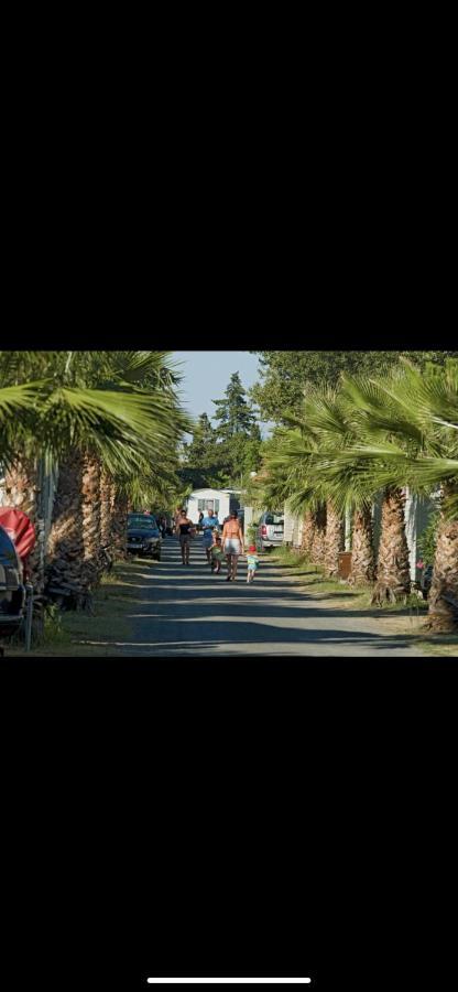 Camping 4 Etoiles Le Bosc Saint Cyrpien Mobil Home Exteriör bild